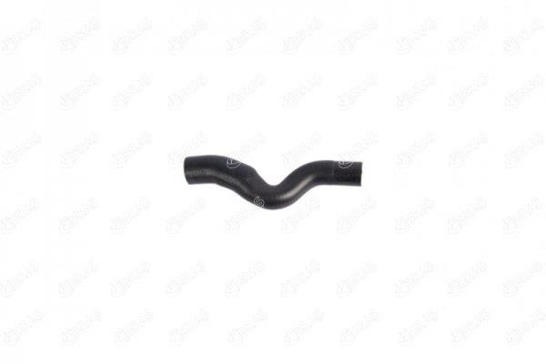 IBRAS 27938 Radiator hose 27938: Buy near me in Poland at 2407.PL - Good price!