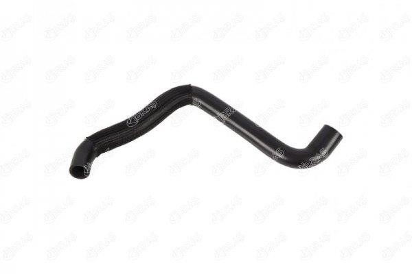 IBRAS 17672 Radiator hose 17672: Buy near me at 2407.PL in Poland at an Affordable price!