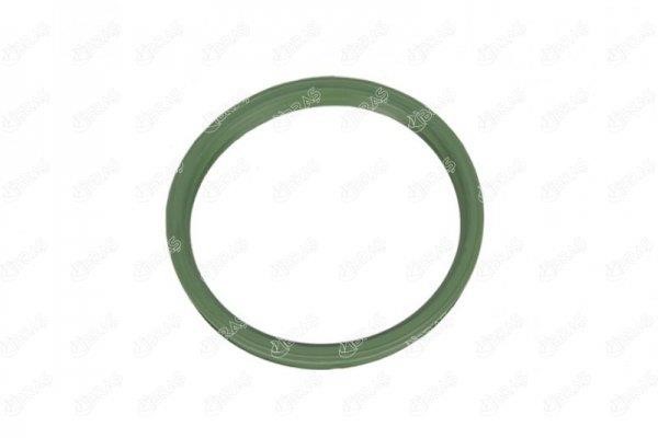 IBRAS 21288 Seal, fuel tank cap 21288: Buy near me in Poland at 2407.PL - Good price!