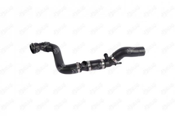 IBRAS 27273 Radiator hose 27273: Buy near me in Poland at 2407.PL - Good price!