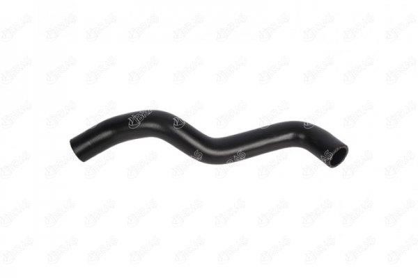 IBRAS 25027 Radiator hose 25027: Buy near me at 2407.PL in Poland at an Affordable price!