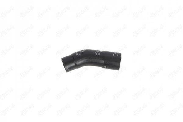 IBRAS 11605 Radiator hose 11605: Buy near me at 2407.PL in Poland at an Affordable price!