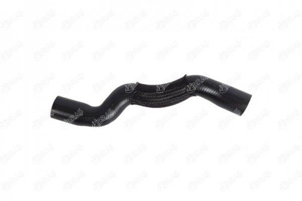 IBRAS 21582 Radiator hose 21582: Buy near me at 2407.PL in Poland at an Affordable price!