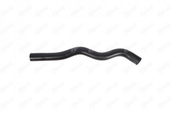 IBRAS 18201 Radiator hose 18201: Buy near me at 2407.PL in Poland at an Affordable price!