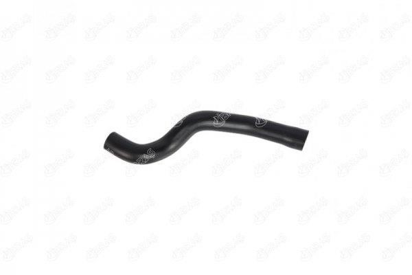 IBRAS 21519 Radiator hose 21519: Buy near me in Poland at 2407.PL - Good price!