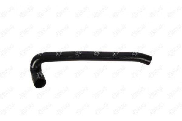 IBRAS 17772 Radiator hose 17772: Buy near me in Poland at 2407.PL - Good price!