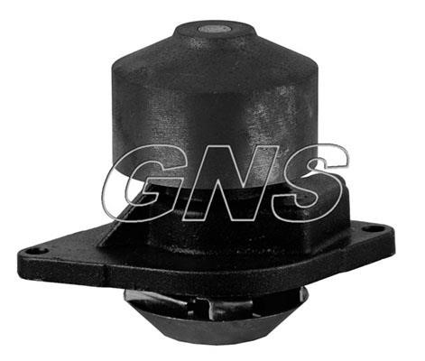 GNS YH-F255 Water pump YHF255: Buy near me in Poland at 2407.PL - Good price!