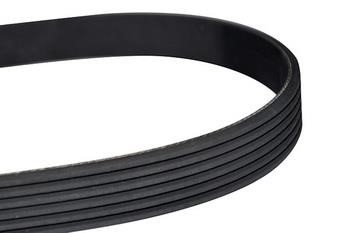 WXQP 10812 V-Ribbed Belt 10812: Buy near me in Poland at 2407.PL - Good price!