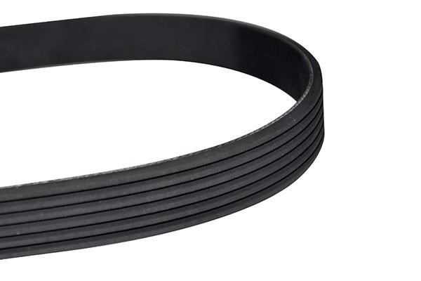WXQP 10881 V-Ribbed Belt 10881: Buy near me in Poland at 2407.PL - Good price!
