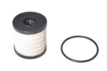 WXQP 610197 Oil Filter 610197: Buy near me in Poland at 2407.PL - Good price!