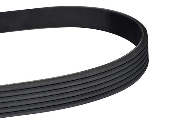WXQP 10800 V-Ribbed Belt 10800: Buy near me in Poland at 2407.PL - Good price!