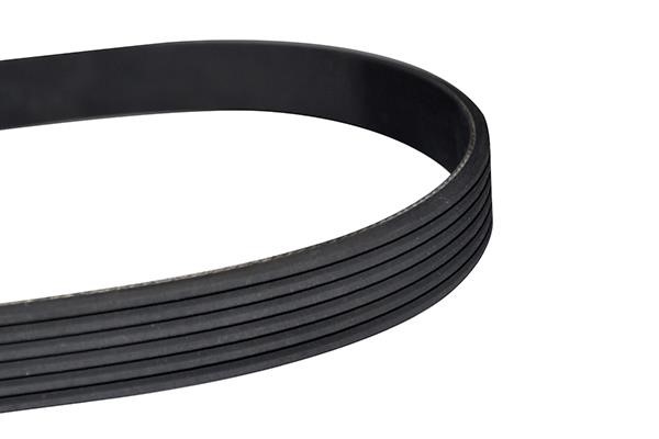 WXQP 11567 V-Ribbed Belt 11567: Buy near me in Poland at 2407.PL - Good price!
