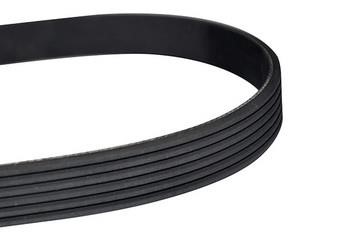WXQP 10893 V-Ribbed Belt 10893: Buy near me in Poland at 2407.PL - Good price!
