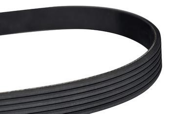 WXQP 10855 V-Ribbed Belt 10855: Buy near me in Poland at 2407.PL - Good price!