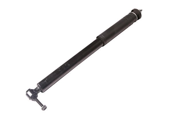 WXQP 161367 Rear oil shock absorber 161367: Buy near me in Poland at 2407.PL - Good price!