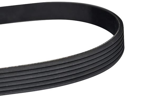 WXQP 10887 V-Ribbed Belt 10887: Buy near me in Poland at 2407.PL - Good price!