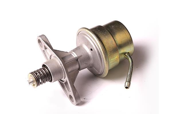 WXQP 510055 Fuel pump 510055: Buy near me in Poland at 2407.PL - Good price!