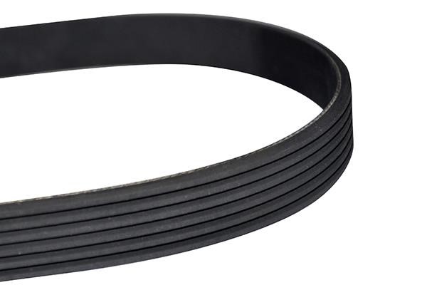 WXQP 10845 V-Ribbed Belt 10845: Buy near me in Poland at 2407.PL - Good price!