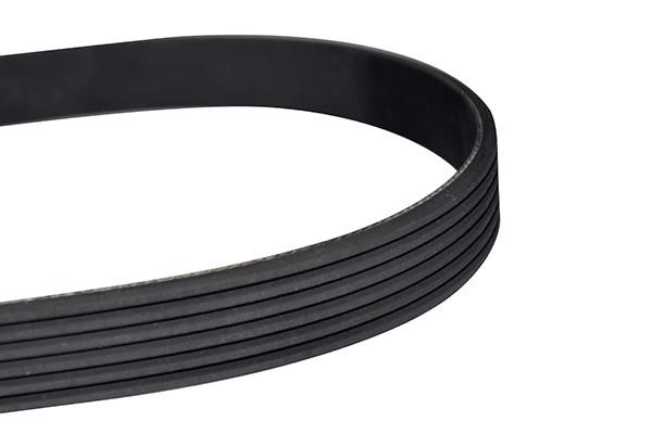 WXQP 10875 V-Ribbed Belt 10875: Buy near me in Poland at 2407.PL - Good price!
