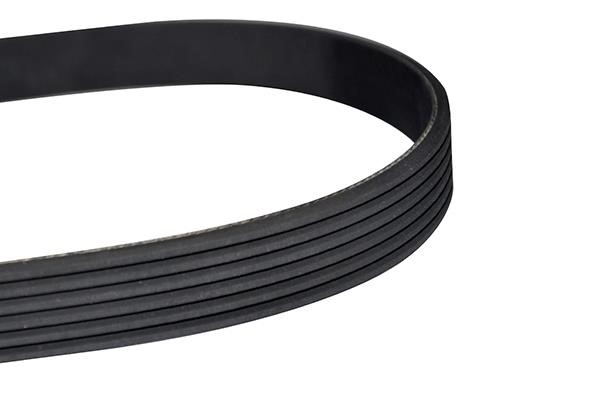WXQP 10950 V-Ribbed Belt 10950: Buy near me in Poland at 2407.PL - Good price!