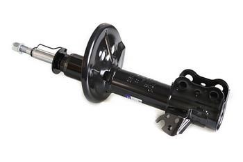 WXQP 50019 Front Left Gas Oil Suspension Shock Absorber 50019: Buy near me in Poland at 2407.PL - Good price!