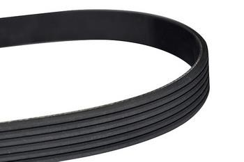 WXQP 10850 V-Ribbed Belt 10850: Buy near me in Poland at 2407.PL - Good price!