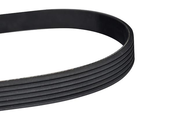 WXQP 10851 V-Ribbed Belt 10851: Buy near me in Poland at 2407.PL - Good price!
