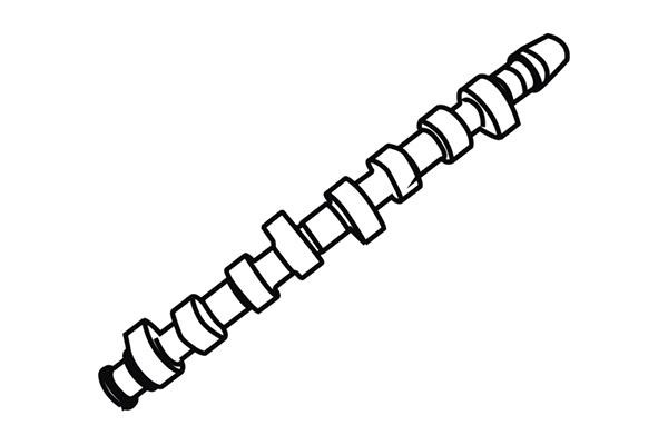 WXQP 350105 Camshaft 350105: Buy near me in Poland at 2407.PL - Good price!