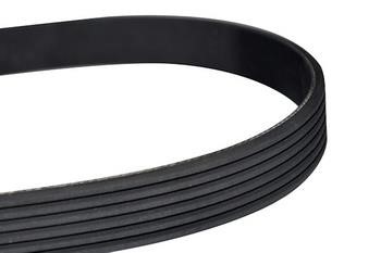 WXQP 10802 V-Ribbed Belt 10802: Buy near me in Poland at 2407.PL - Good price!