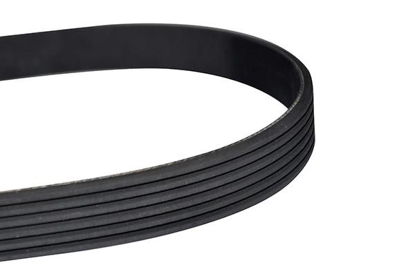 WXQP 10888 V-Ribbed Belt 10888: Buy near me in Poland at 2407.PL - Good price!