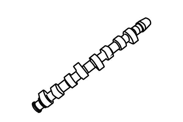 WXQP 350117 Camshaft 350117: Buy near me in Poland at 2407.PL - Good price!