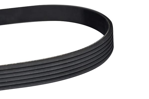 WXQP 10885 V-Ribbed Belt 10885: Buy near me in Poland at 2407.PL - Good price!