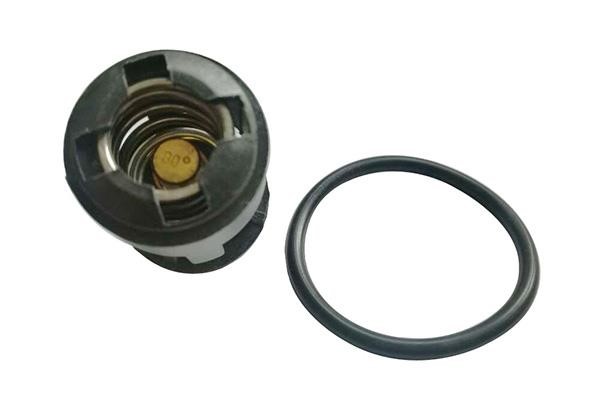 WXQP 321665 Thermostat, coolant 321665: Buy near me in Poland at 2407.PL - Good price!