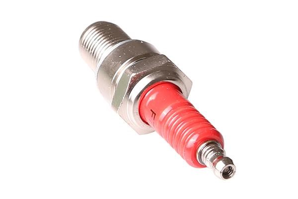 WXQP 314035 Spark plug 314035: Buy near me in Poland at 2407.PL - Good price!