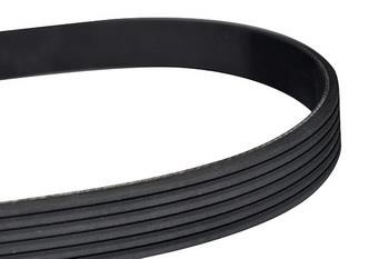WXQP 10798 V-Ribbed Belt 10798: Buy near me in Poland at 2407.PL - Good price!