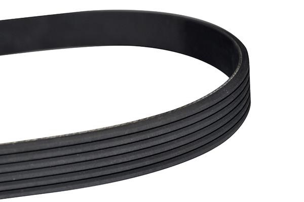 WXQP 11765 V-Ribbed Belt 11765: Buy near me in Poland at 2407.PL - Good price!