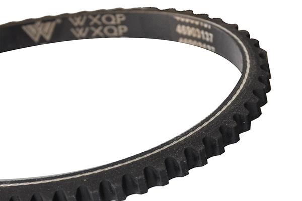 Buy WXQP 313165 at a low price in Poland!