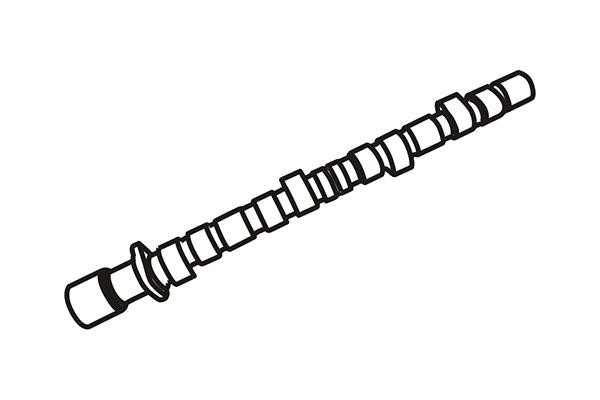 WXQP 650109 Camshaft 650109: Buy near me in Poland at 2407.PL - Good price!