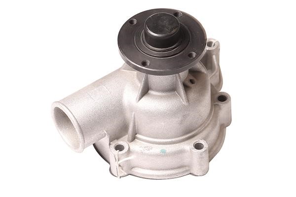 WXQP 220141 Water pump 220141: Buy near me in Poland at 2407.PL - Good price!