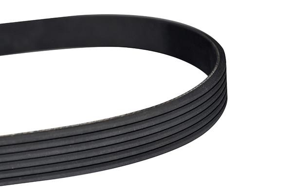 WXQP 10852 V-Ribbed Belt 10852: Buy near me in Poland at 2407.PL - Good price!