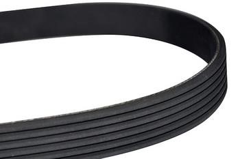 WXQP 10865 V-Ribbed Belt 10865: Buy near me in Poland at 2407.PL - Good price!