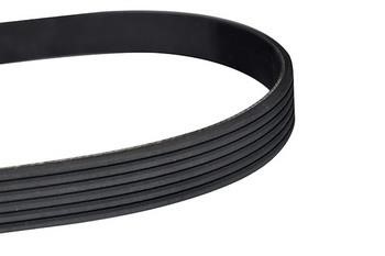 WXQP 10762 V-Ribbed Belt 10762: Buy near me in Poland at 2407.PL - Good price!