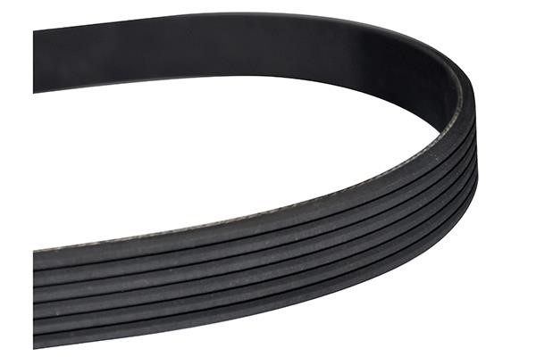 WXQP 10803 V-Ribbed Belt 10803: Buy near me in Poland at 2407.PL - Good price!