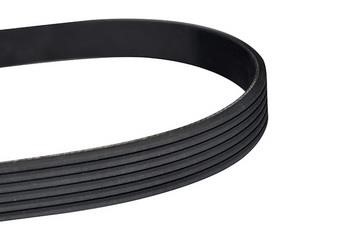 WXQP 10805 V-Ribbed Belt 10805: Buy near me in Poland at 2407.PL - Good price!
