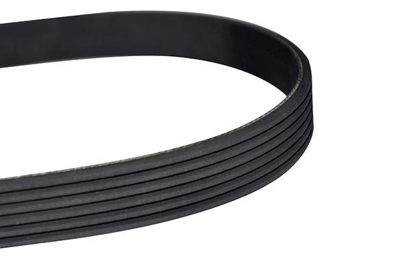 WXQP 10884 V-Ribbed Belt 10884: Buy near me in Poland at 2407.PL - Good price!