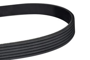 WXQP 10788 V-Ribbed Belt 10788: Buy near me in Poland at 2407.PL - Good price!