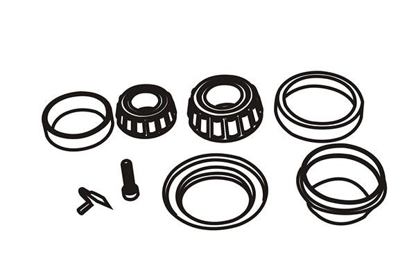 WXQP 161563 Wheel bearing kit 161563: Buy near me in Poland at 2407.PL - Good price!