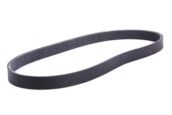 WXQP 11766 V-Ribbed Belt 11766: Buy near me in Poland at 2407.PL - Good price!