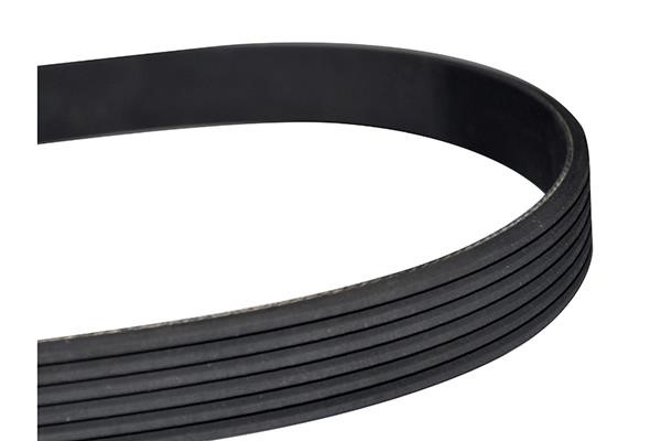 WXQP 314025 V-Ribbed Belt 314025: Buy near me in Poland at 2407.PL - Good price!