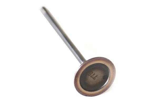 WXQP 211189 Intake valve 211189: Buy near me at 2407.PL in Poland at an Affordable price!
